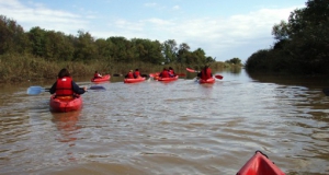 Сплав на каноэ и байдарках по реке Пиньос